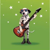 Fun Photographic Dalmatian Dog Birthday Card