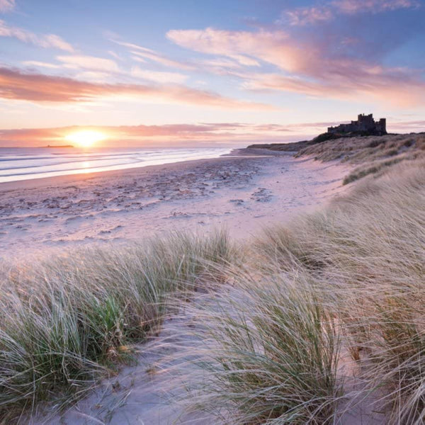 Abacus Cards Bamburgh Beach Castle and sand dunes birthday greeting card with colorful seaside illustration.