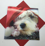 Whimsical 3D Christmas greeting card featuring a dog in a Santa hat, festive design by Carte Blanche.