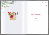 Two Boofle looking up-Sister & Brother In Law Christmas Card