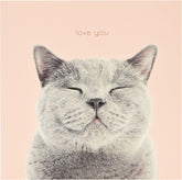 Cat Smiling Valentine’s Day Card For Her
