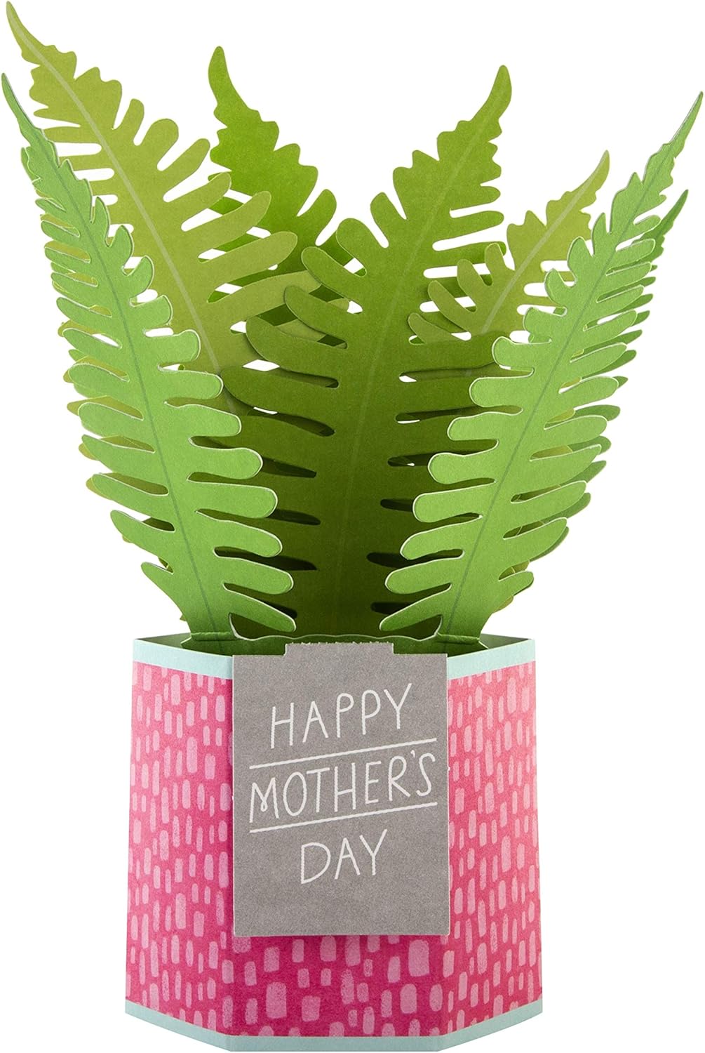 Hallmark Pop-Up Plant Paper Wonder Mother’s Day card with colorful 3D floral design and cheerful greeting inside.