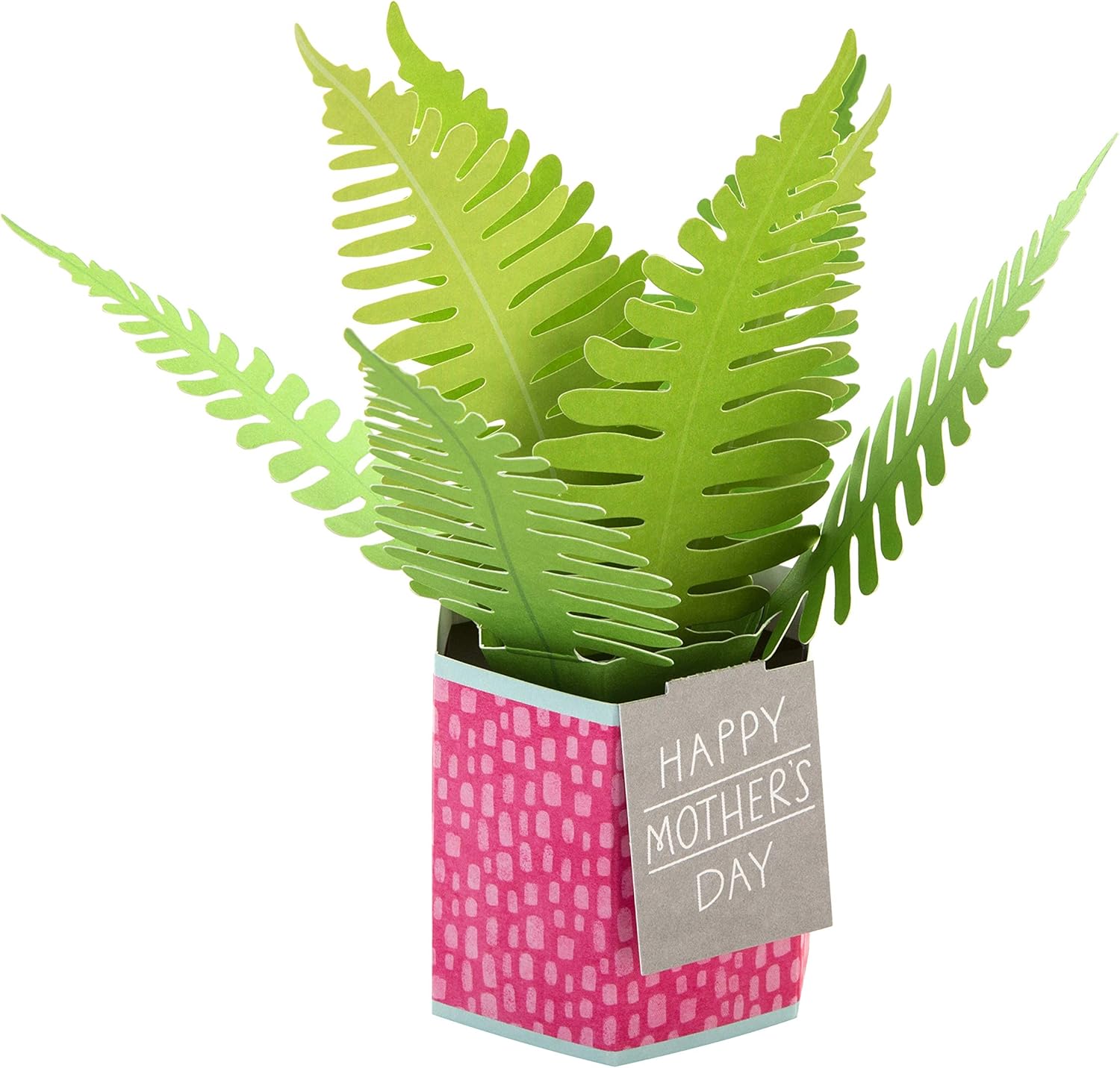 Hallmark Pop-Up Plant 'Paper Wonder' Mother’s Day card featuring a colorful 3D floral design and intricate paper craft details.