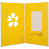 Hallmark greeting card with contemporary floral design and seeded paper insert, ideal for birthday celebrations.
