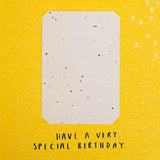 Contemporary floral greeting card with seeded paper insert, Hallmark birthday card featuring colorful flower design.