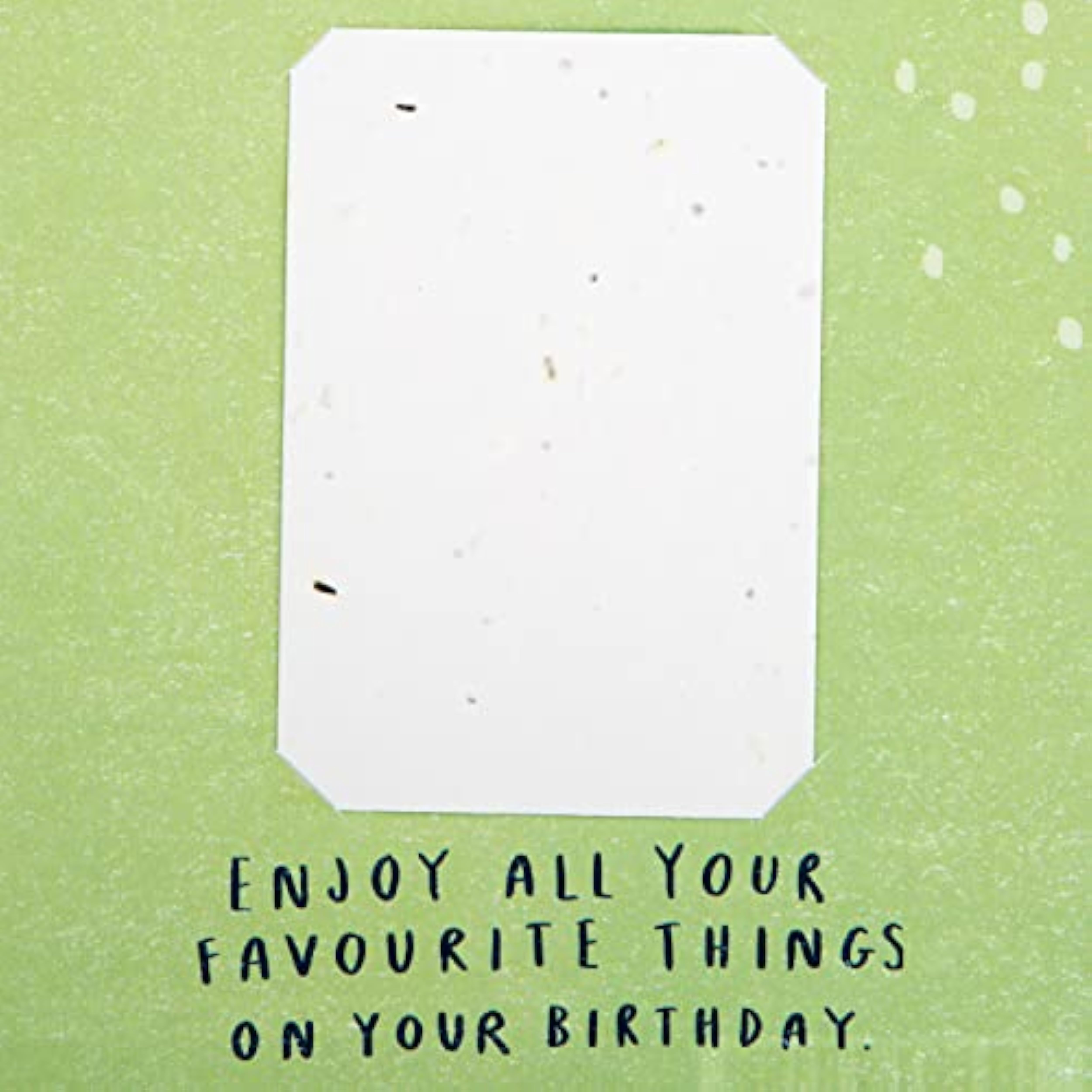 Hallmark contemporary garden-themed greeting card with seeded paper insert for birthdays, featuring floral design and vibrant colors.