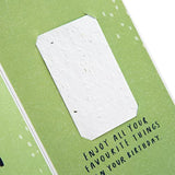 Hallmark contemporary garden-themed greeting card with seeded paper insert for birthdays, featuring vibrant floral design.