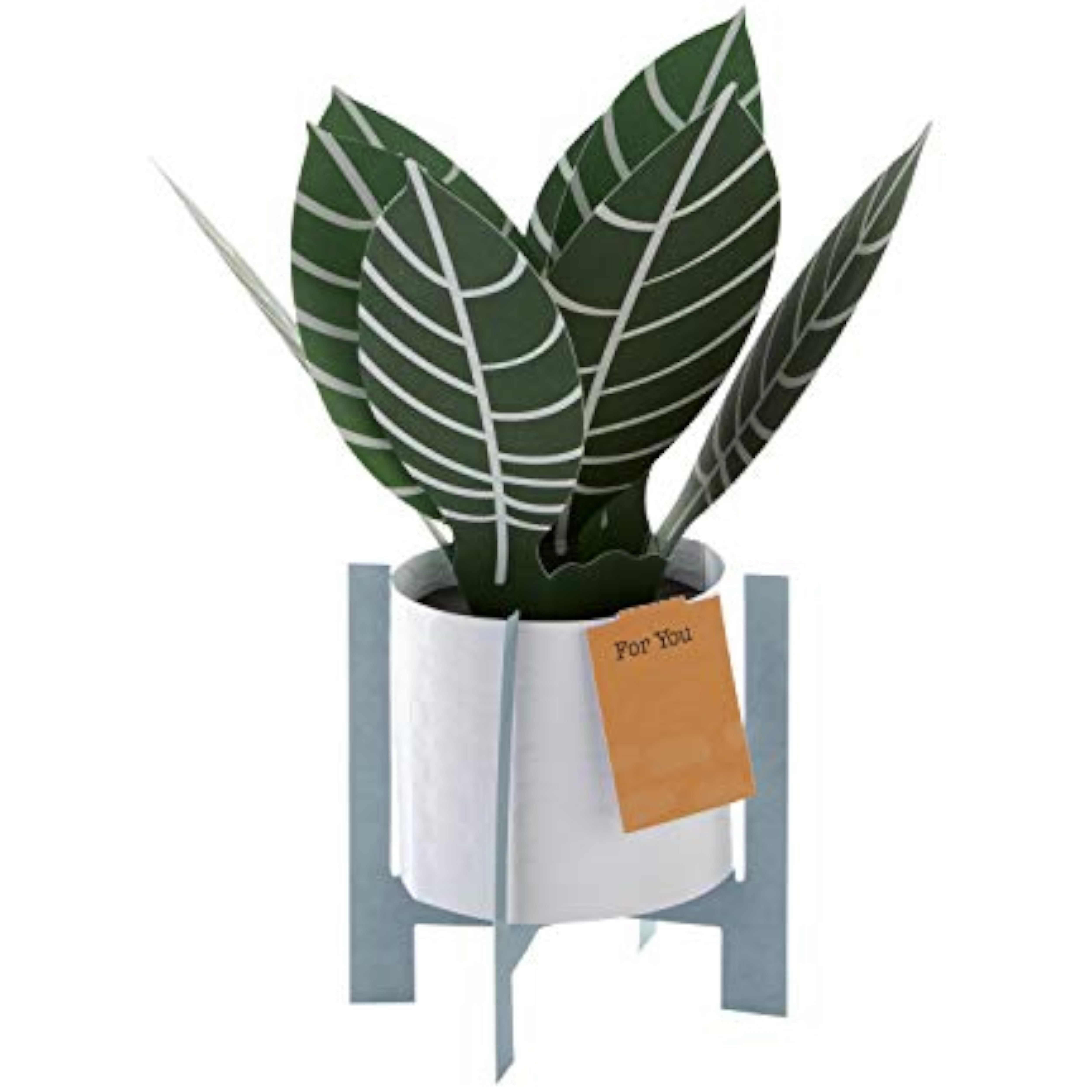 Contemporary Zebra Plant Pop-Up Card by Hallmark featuring a colorful zebra plant design for greeting occasions.