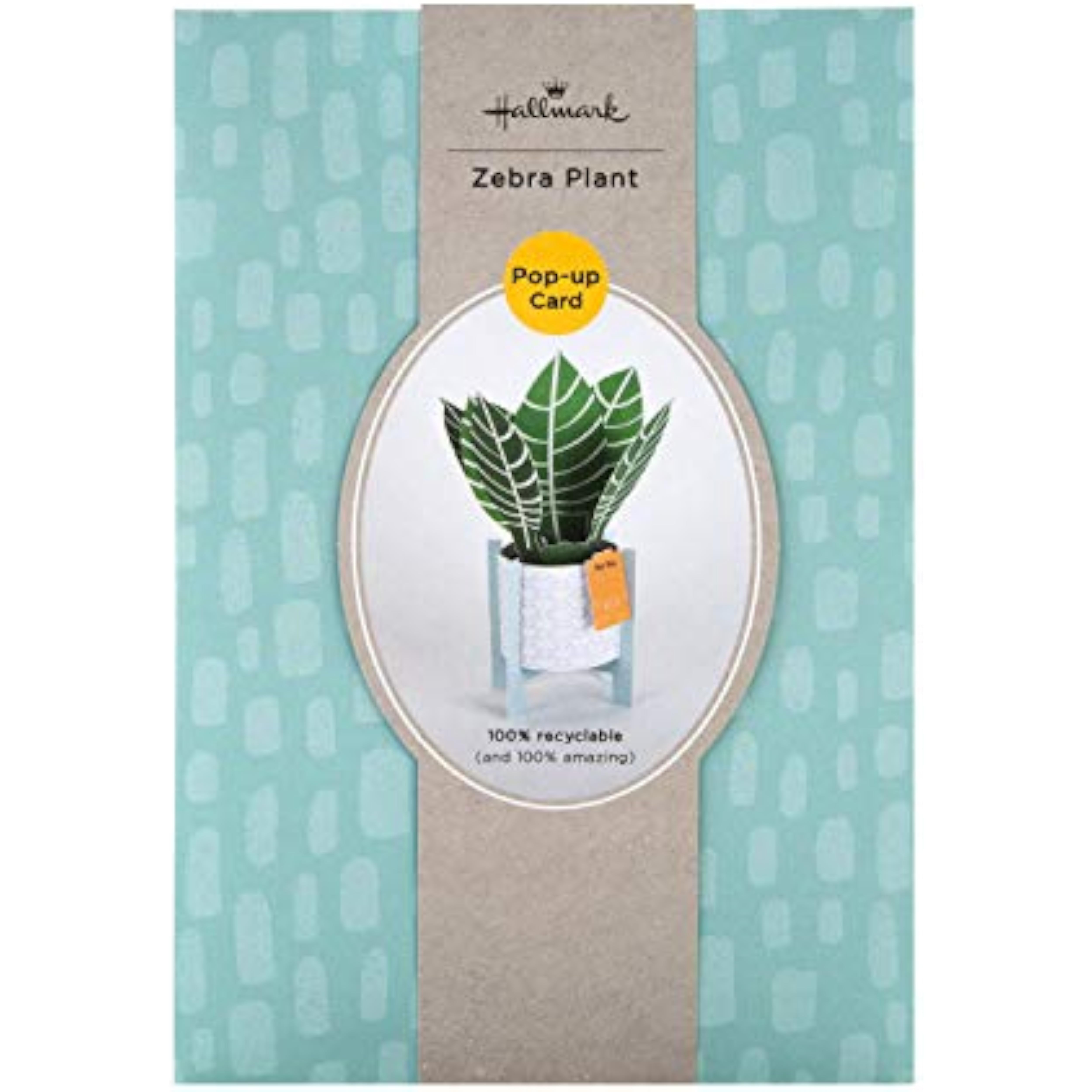Contemporary Zebra Plant greeting card by Hallmark featuring a stylish zebra plant illustration on a blank card surface.