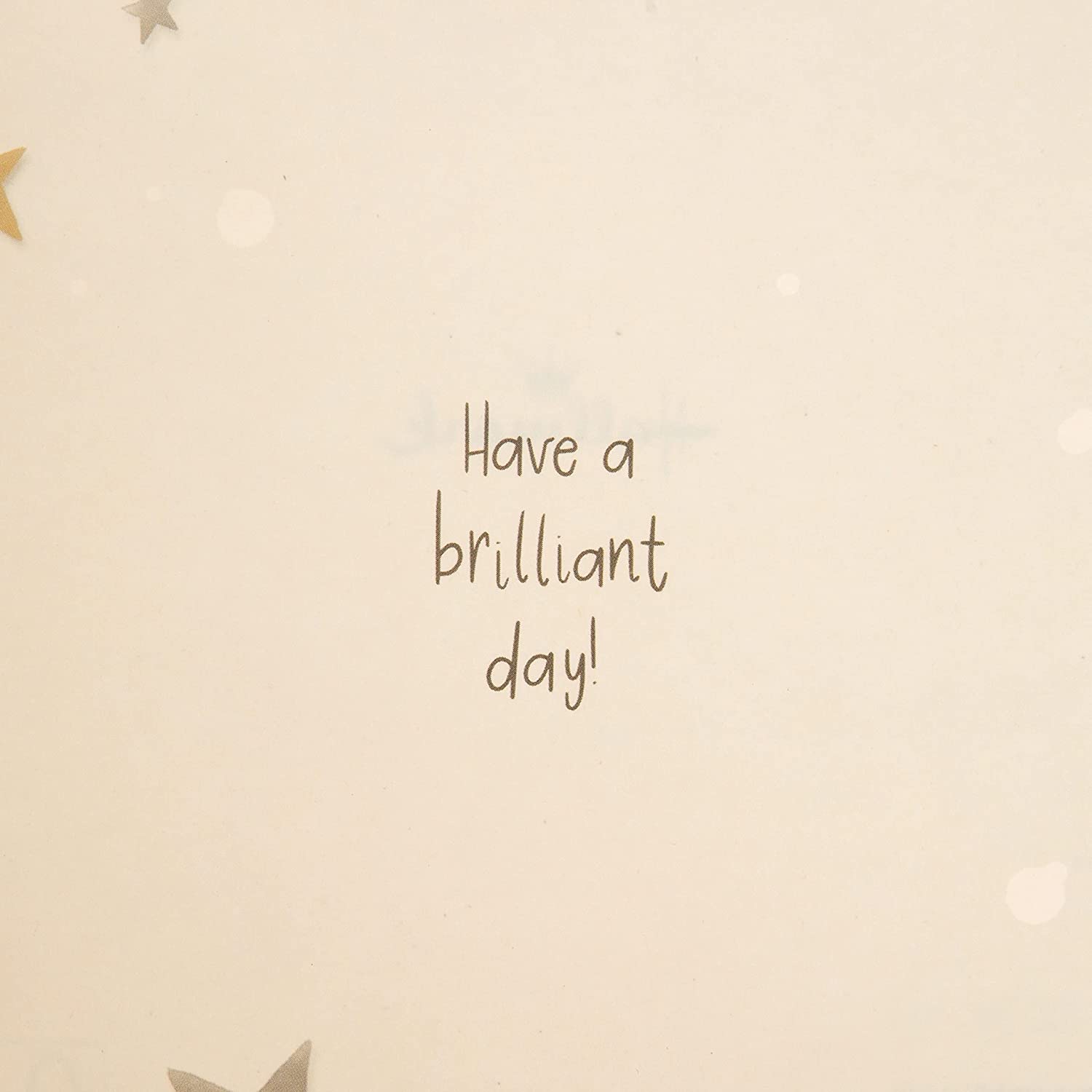 Hallmark Elegant Wishes classic gold and silver birthday greeting card with festive design and elegant lettering.