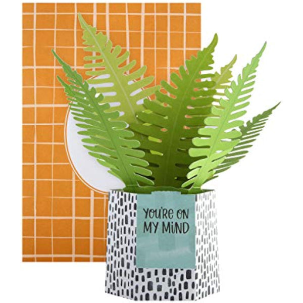 Contemporary fern plant pop-up greeting card by Hallmark featuring a vibrant, detailed 3D fern design inside.