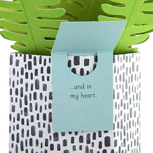Hallmark Fern Plant pop-up greeting card with contemporary design, featuring a detailed green fern illustration inside.