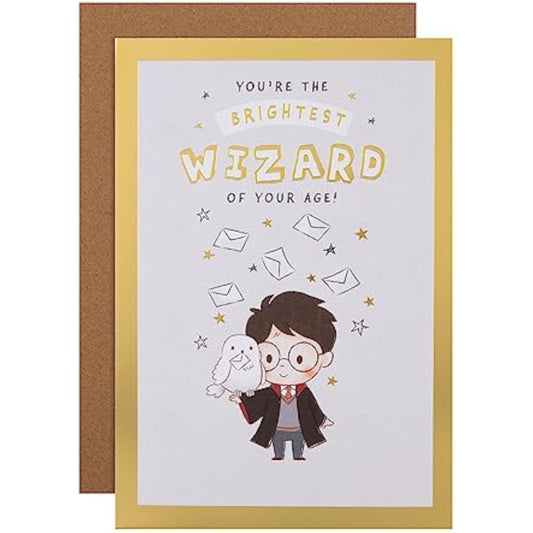 Harry Potter Hedwig owl greeting card with gold foil accents, featuring a detailed illustration of Hedwig, perfect for birthdays.