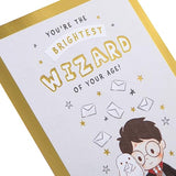 Warner Brother Harry Potter Hedwig Owl with Maze Activity Birthday Card
