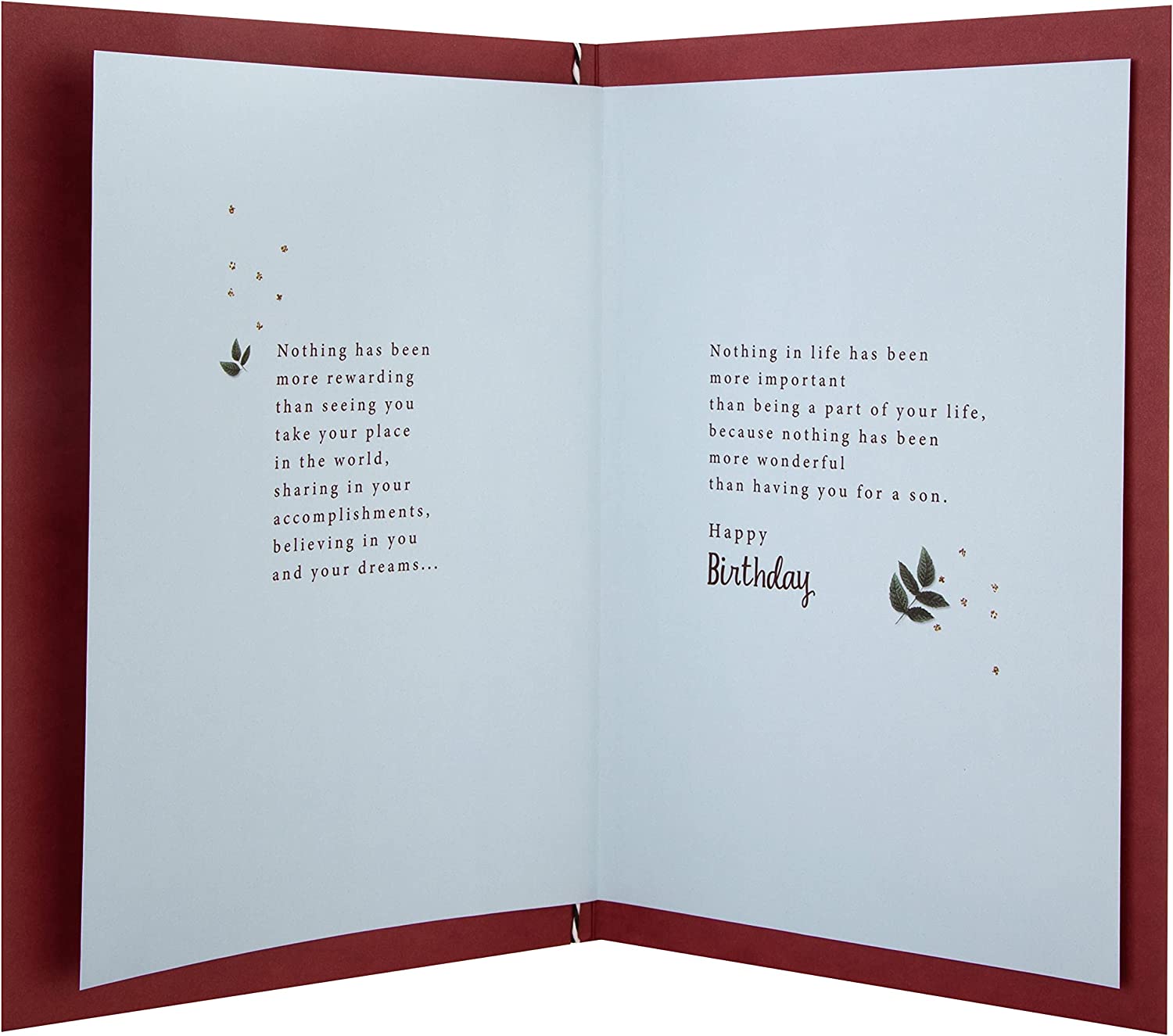Hallmark son's birthday greeting card featuring traditional verse and cheerful design, perfect for celebrating a special day.