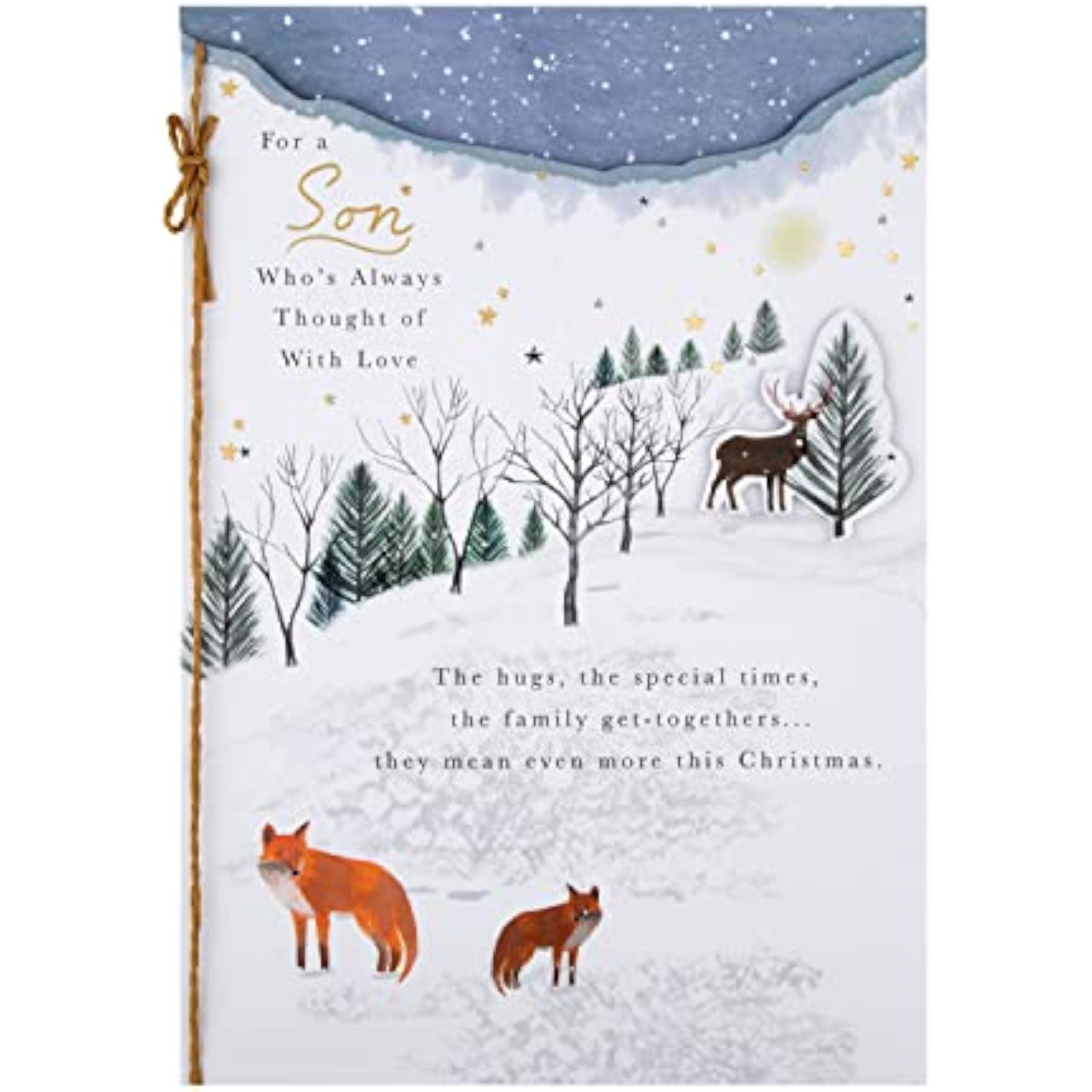 Hallmark traditional winter scene Christmas greeting card for son, featuring festive holiday imagery and heartfelt message.