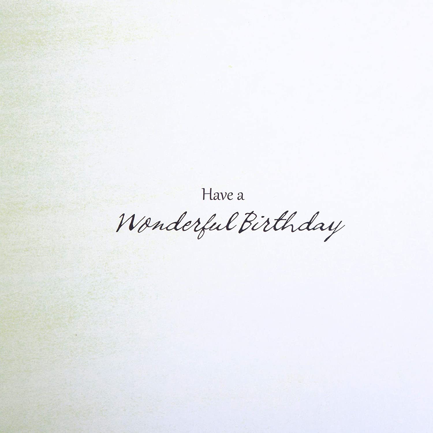 Watercolor silver foil birthday greeting card with serene design from Hallmark featuring elegant floral artwork.