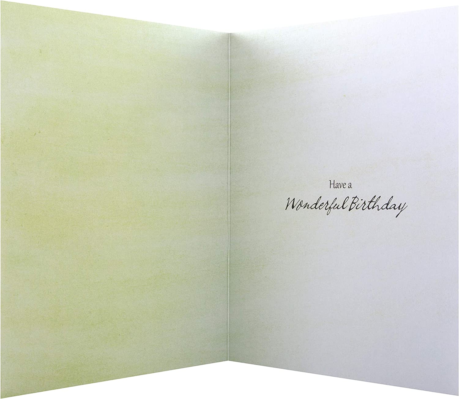 Serene watercolor silver foil birthday greeting card by Hallmark with elegant floral design and festive message.