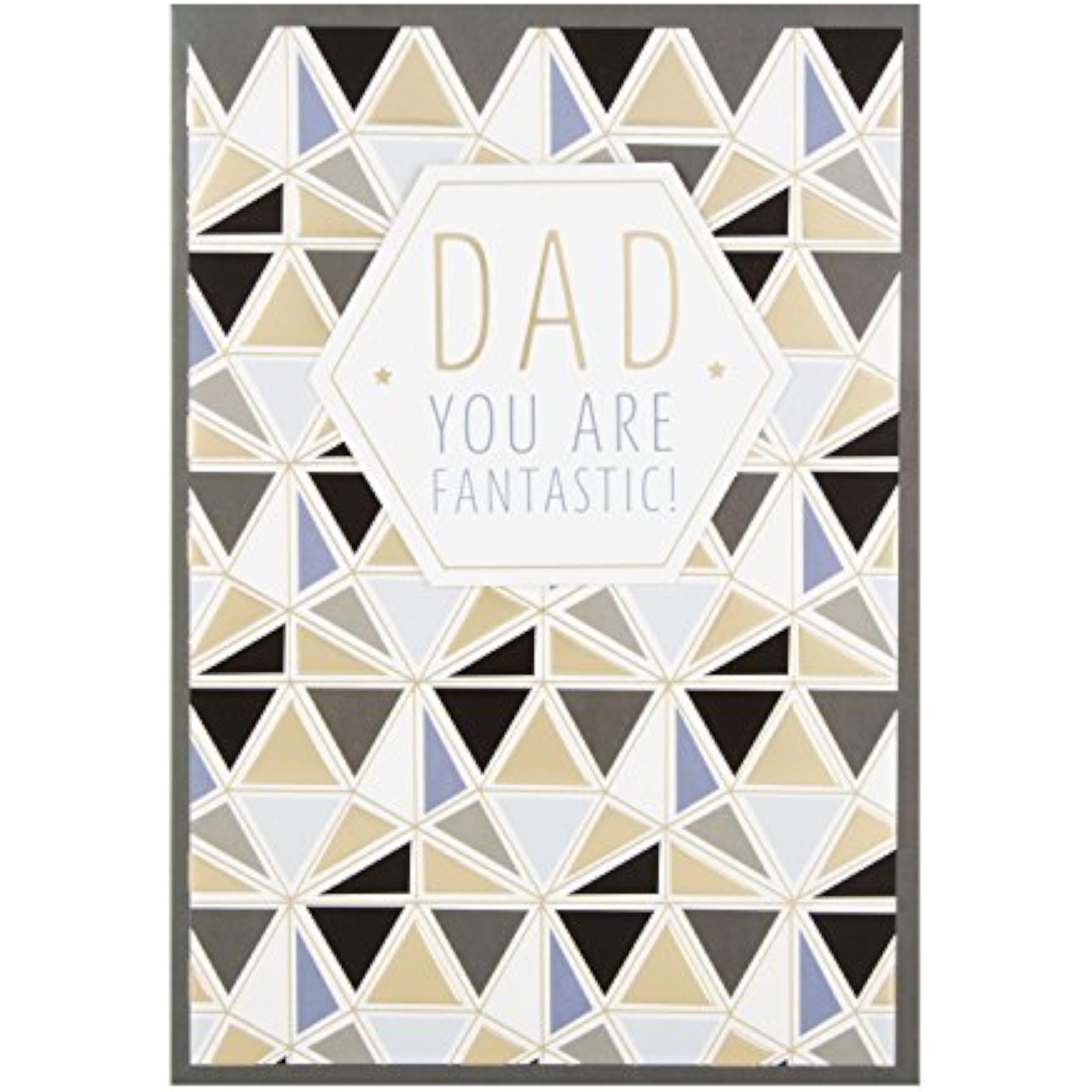 Hallmark You Are Fantastic Father's Day greeting card with elegant 3D details, showcasing a heartfelt design for dad.