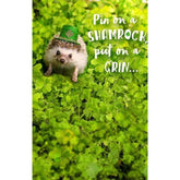 Cute Hedgehog St Patrick's Day
