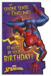 Marvel My Spider Sense is Tingling Birthday Card