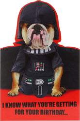 Stand Alone-Disney Star Wars (75)