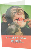 Say Cheese! Birthday Card