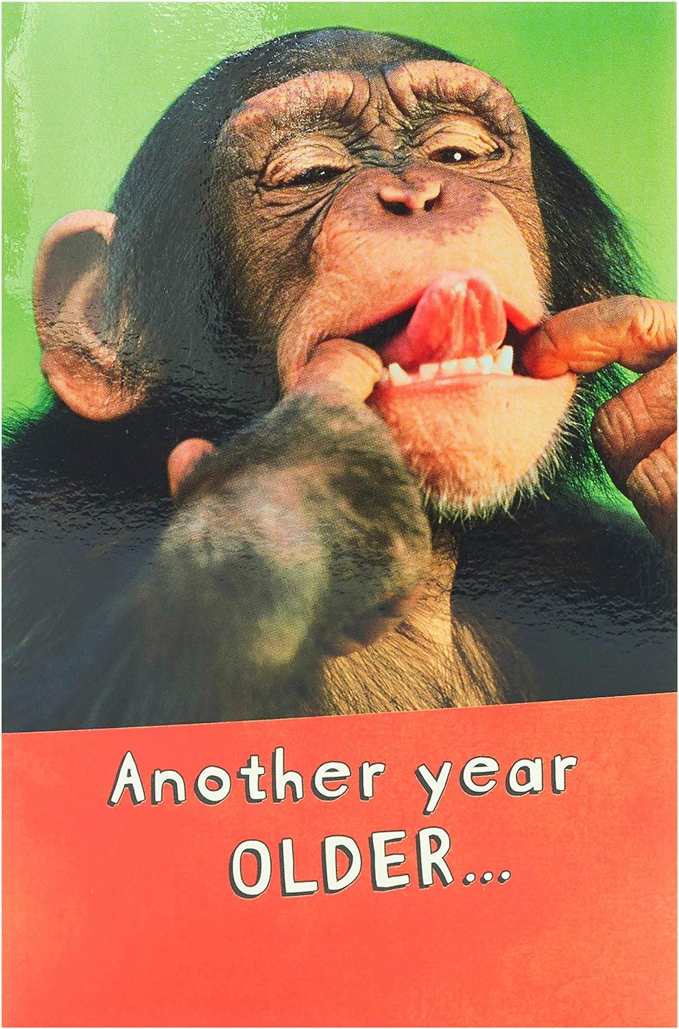 Say Cheese! Birthday Card