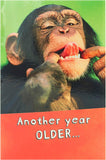 Say Cheese! Birthday Card