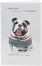 Bulldog in Christmas jumper-Brother Christmas Card