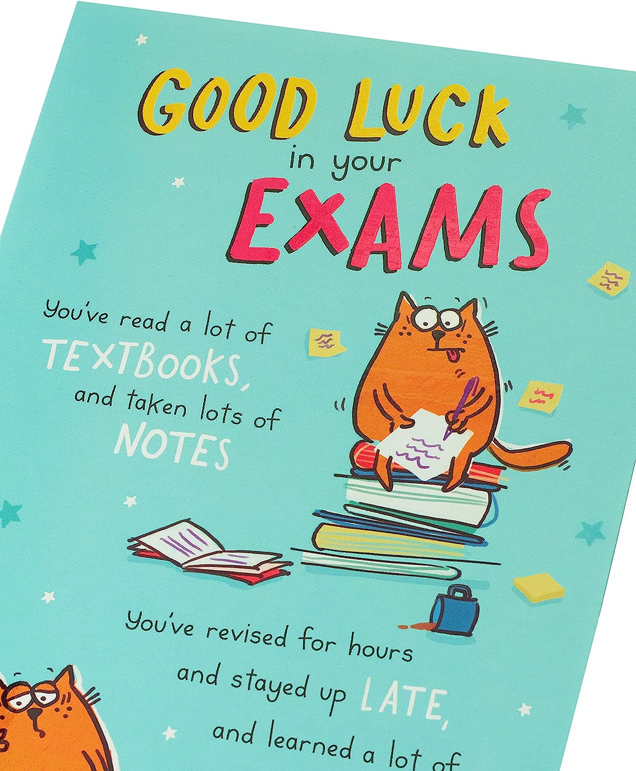 Funny Good Luck in Your Exam greeting card by UK Greetings, featuring humorous design and cheerful message for students.