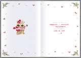 Boofles Ladder Christmas greeting card for sister and partner, featuring festive holiday design from UK Greetings.
