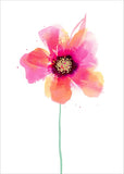Greeting card from UK Greetings featuring boutique style clothing rack illustration, with colorful boutique clothing display.