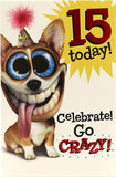 Celebrate Go Crazy 15th Birthday Card featuring a grinning dog by UK Greetings, with colorful birthday design and playful message.