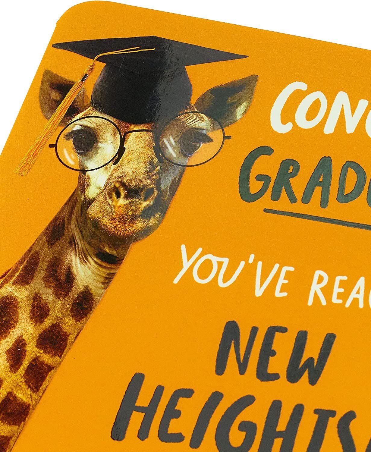 University graduation greeting card with humorous "Congratulations" message from UK Greetings, featuring colorful design and celebratory imagery.