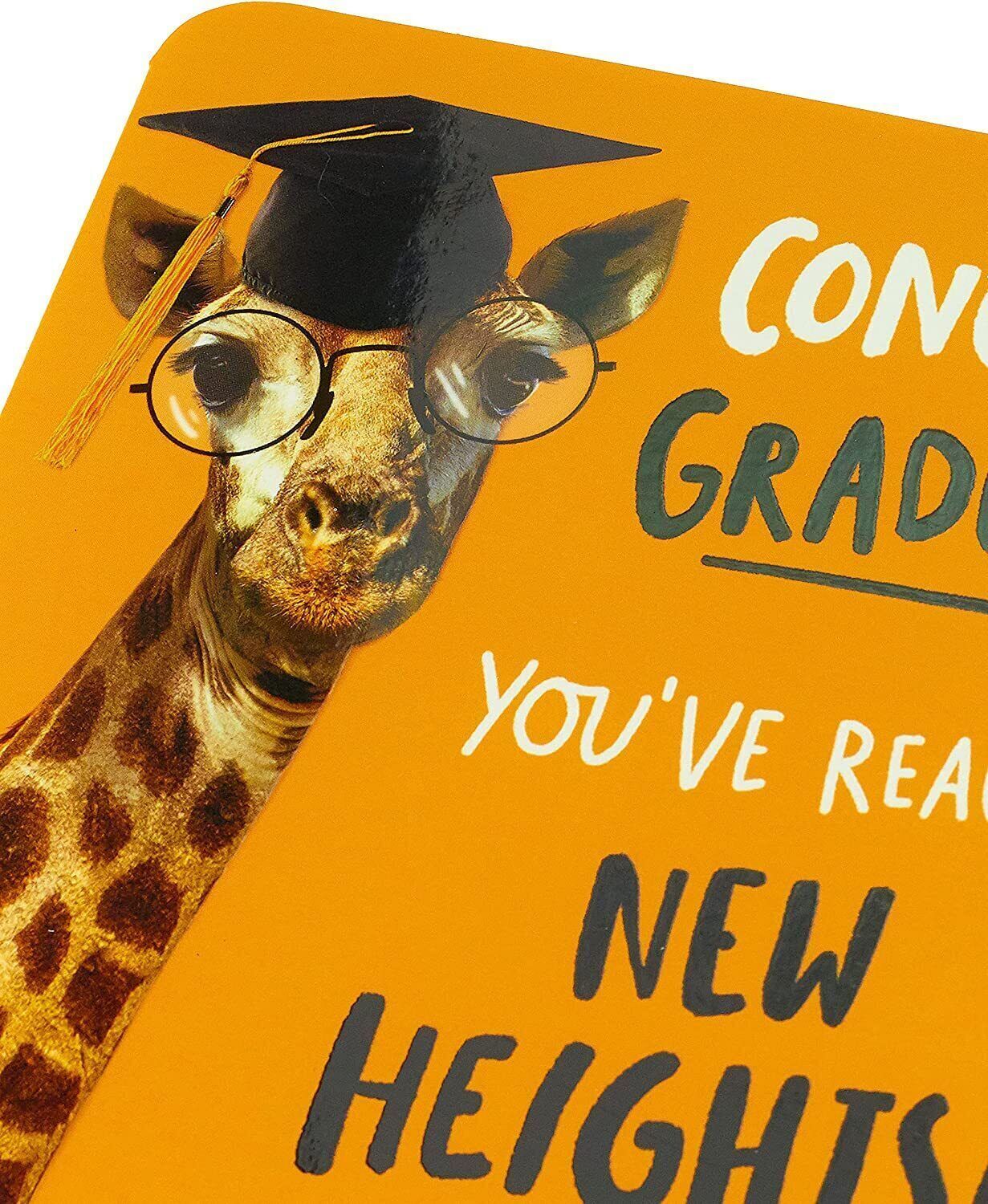 Funny university graduation greeting card featuring a congratulatory message from UK Greetings with colorful design and graduation cap illustration.