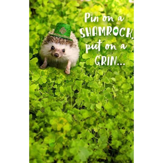 Cute hedgehog St. Patrick's Day greeting card featuring a charming illustration, ideal for celebrating the holiday.