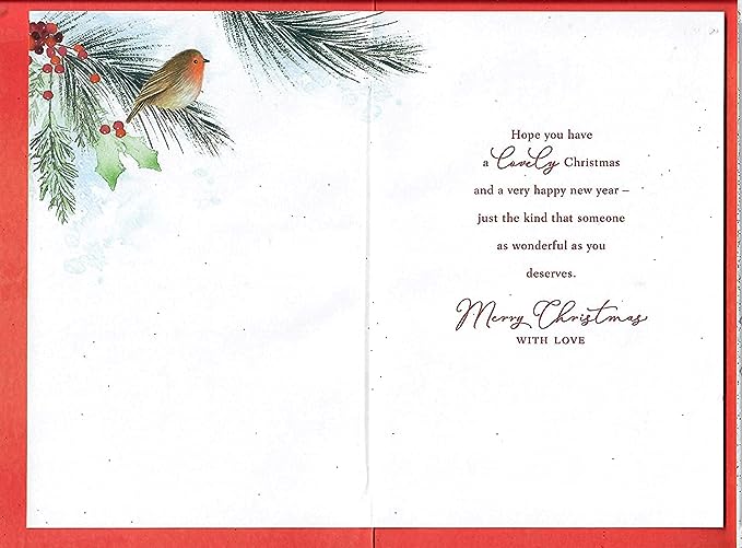 Elegant Robin Bauble Christmas Card for sister-in-law featuring festive robin and bauble design by UK Greetings