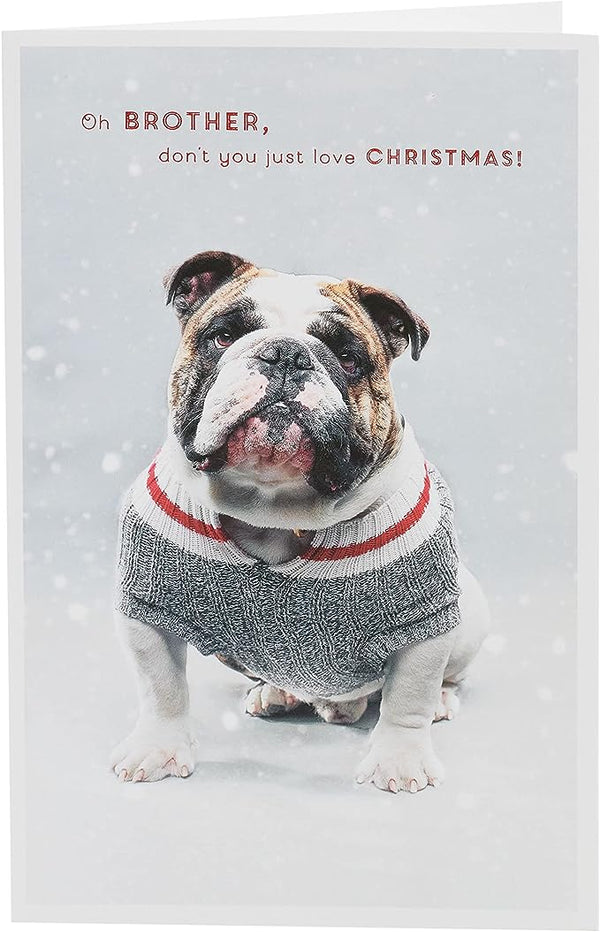 Festive Bulldog Brother Christmas greeting card with red foil accents from UK Greetings, featuring a cheerful holiday design.