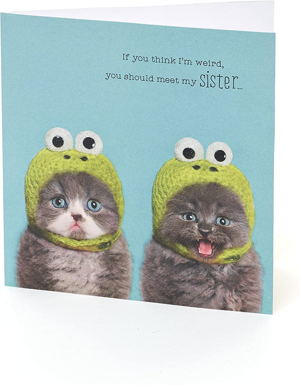 Funny cats in hats sister birthday greeting card from UK Greetings, featuring playful cat illustrations for celebrating her special day.