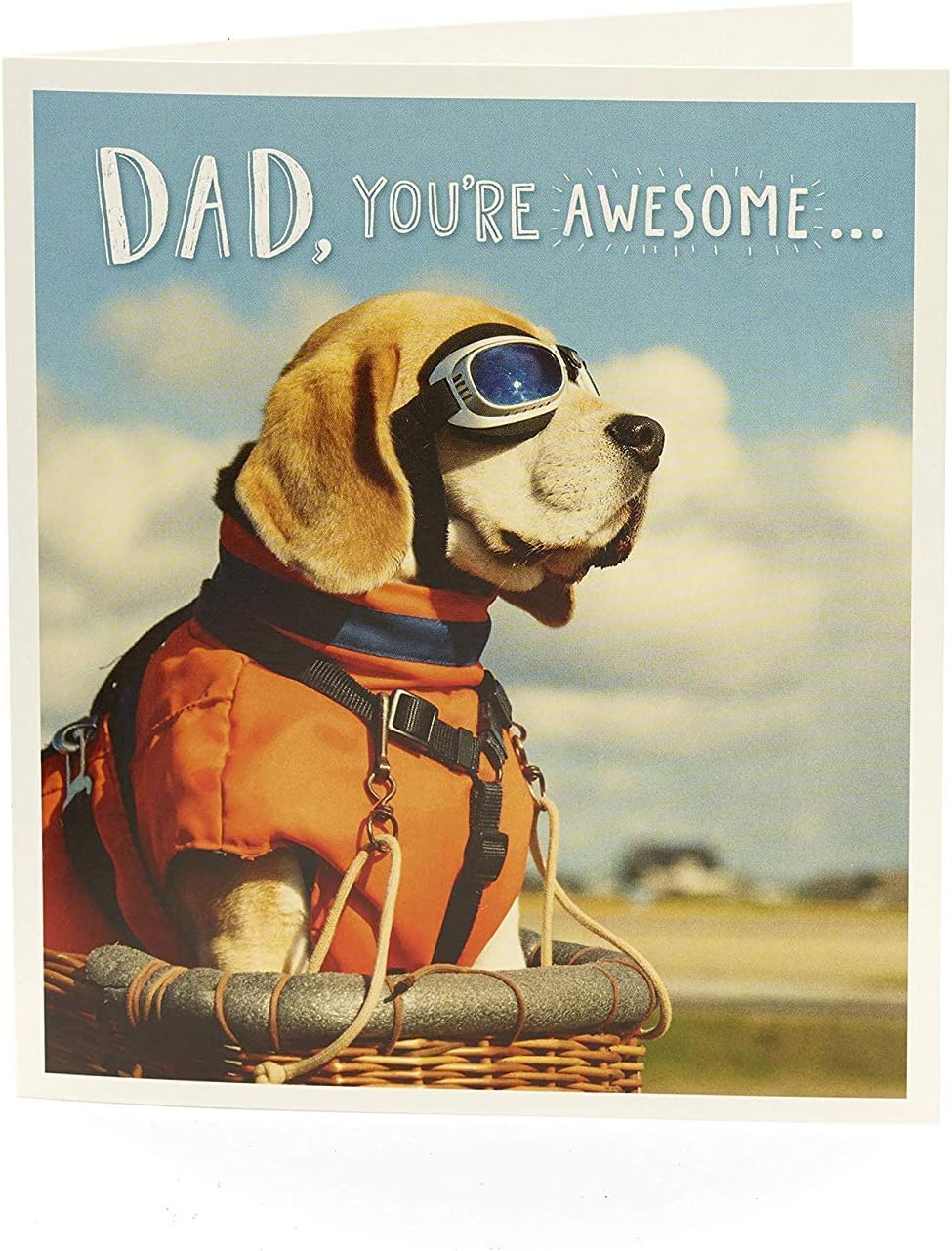 Cute Funny Dog Dad birthday greeting card from UK Greetings with playful dog illustration and cheerful message.
