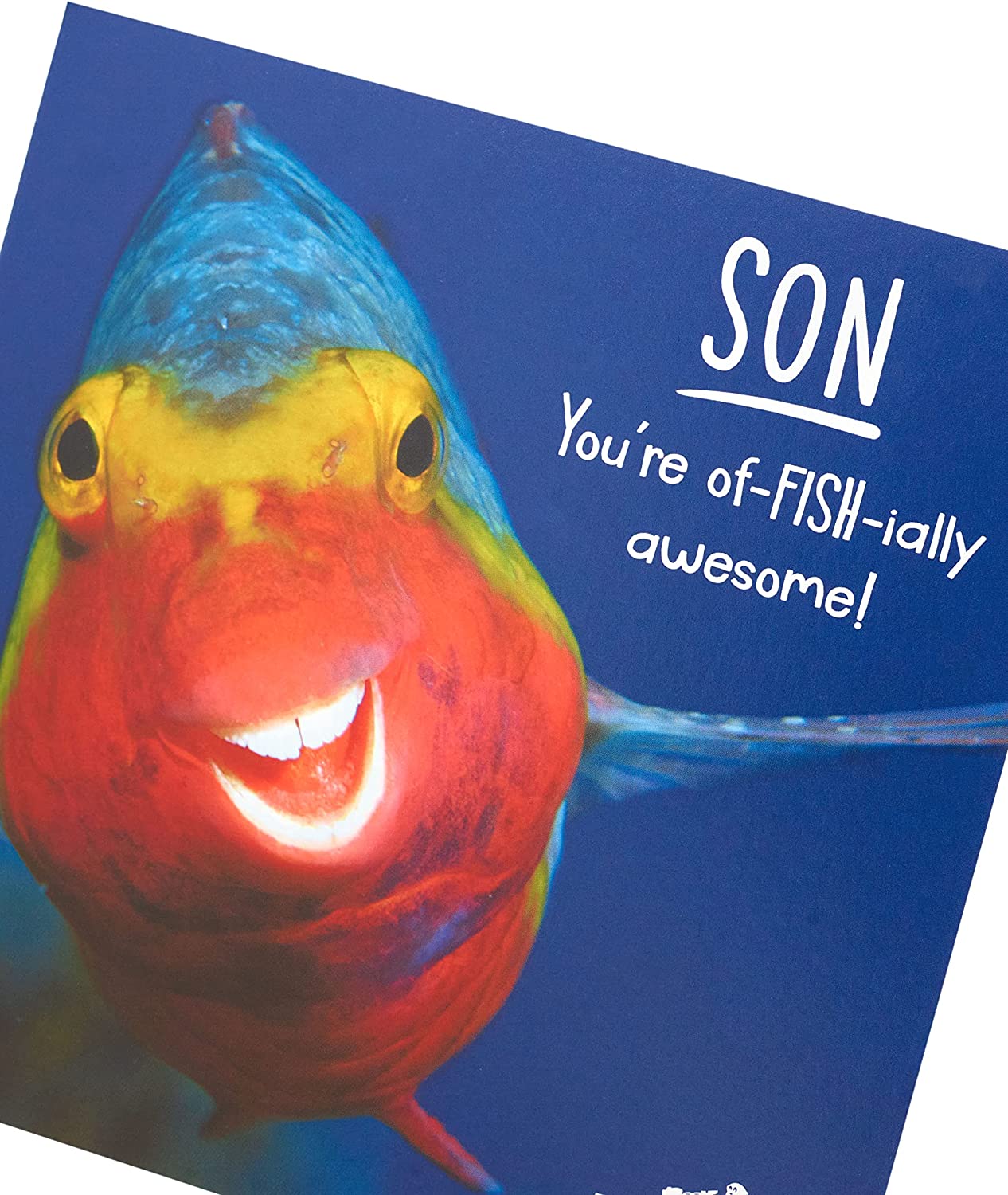 Funny Fish Son birthday greeting card from UK Greetings featuring colorful fish illustrations and cheerful message.