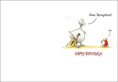 Funny Goose Springsteen birthday greeting card by UK Greetings featuring humorous goose illustration and musical theme.