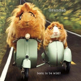 Father’s Day greeting card with "Grandad Born to be Wild!" design, featuring colorful, playful artwork on the UK Greetings card.