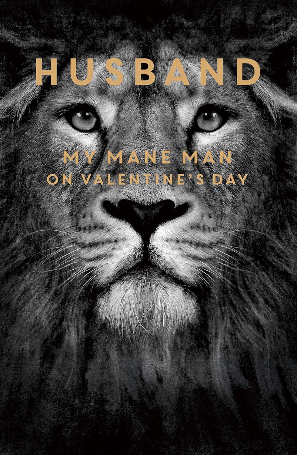 Lion Valentine's Day greeting card for husband featuring a cute lion design and heartfelt message, from UK Greetings.