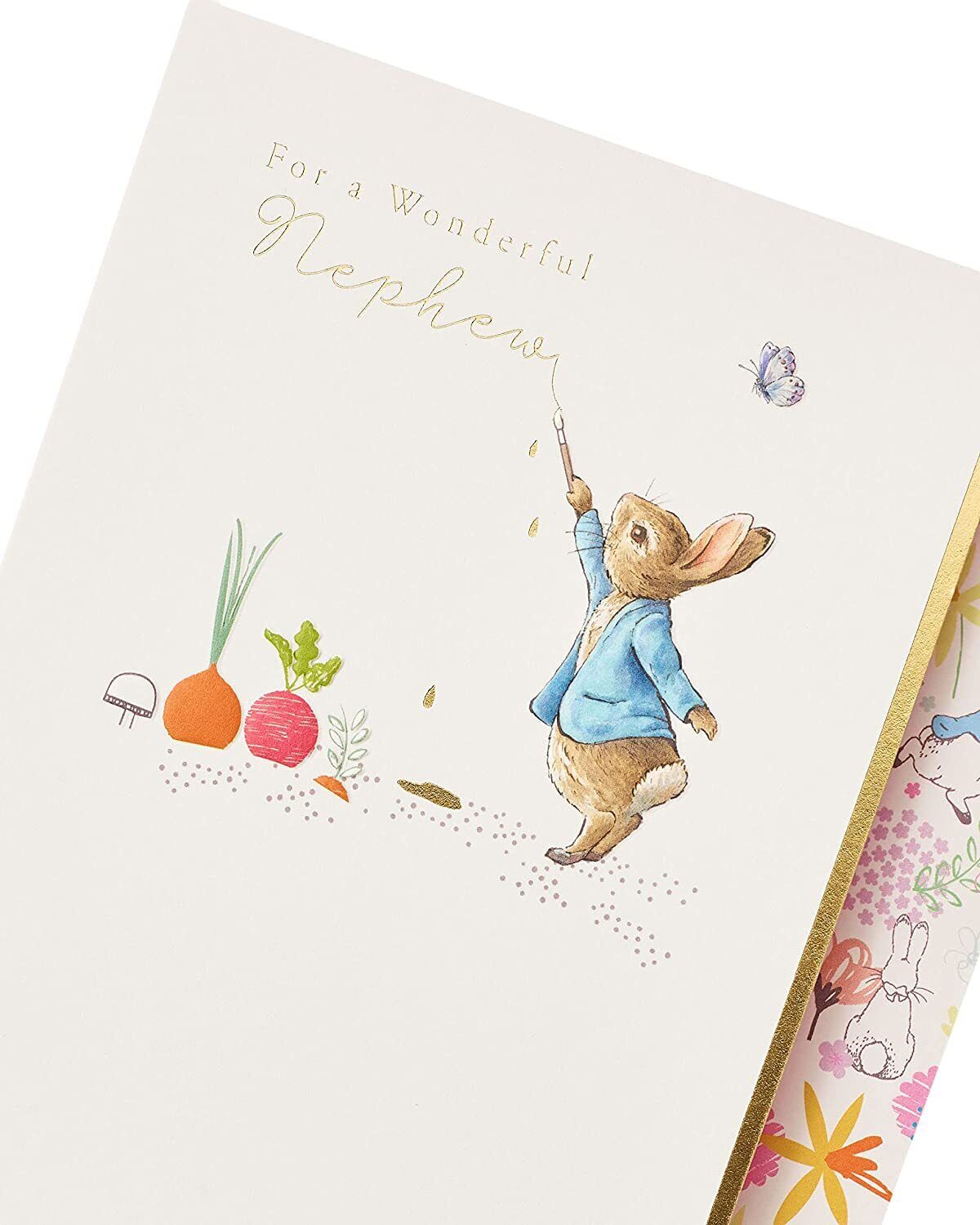 Peter Rabbit nephew birthday greeting card by UK Greetings featuring colorful illustrations and festive design.