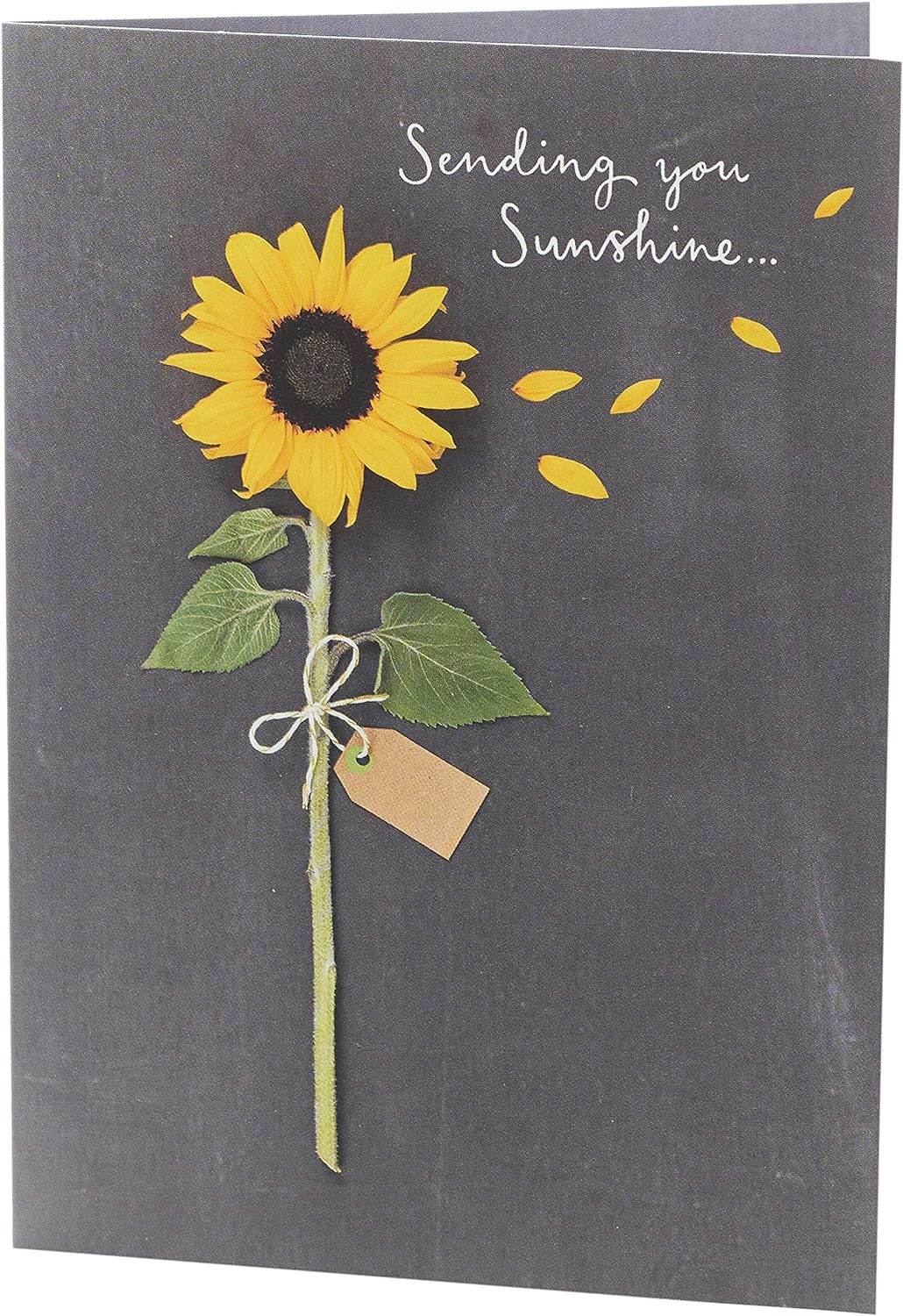 Sending You Sunshine sunflower design greeting card, featuring bright floral artwork, from UK Greetings.