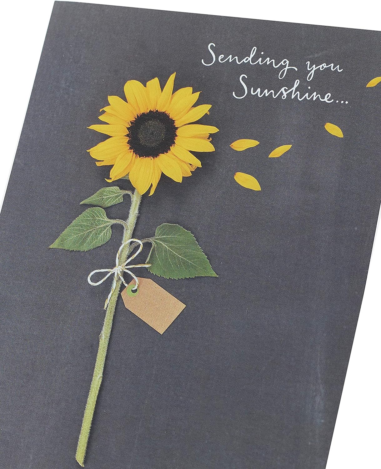 Bright sunflower design greeting card by UK Greetings featuring cheerful sunflower artwork on the front.