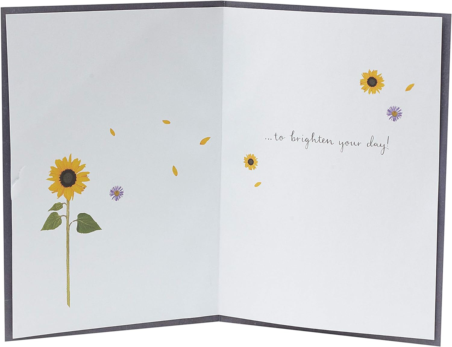 Sending You Sunshine sunflower design greeting card from UK Greetings with bright sunflower illustration on front.