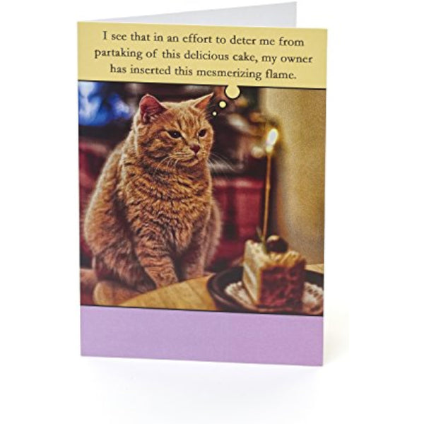 Zero Gravity Cat birthday greeting card from UK Greetings featuring a humorous feline design on a colorful background.